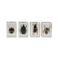 3D Bug Specimen Kit 2
